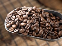 Pengusaha Kafe Belum Rasakan Dampak Kenaikan Harga Biji Kopi