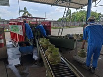 Pertamina Patra Niaga Tambah Cadangan LPG Subsidi Antisipasi Kelangkaan