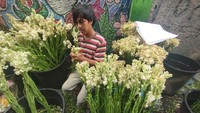 Cek Harga Kembang, Sejarah, Lokasi, dan Cara Menuju Pasar Bunga Rawa Belong