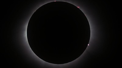 Gerhana Matahari Total 8 April 2024, Ini Potret Fenomena Uniknya!