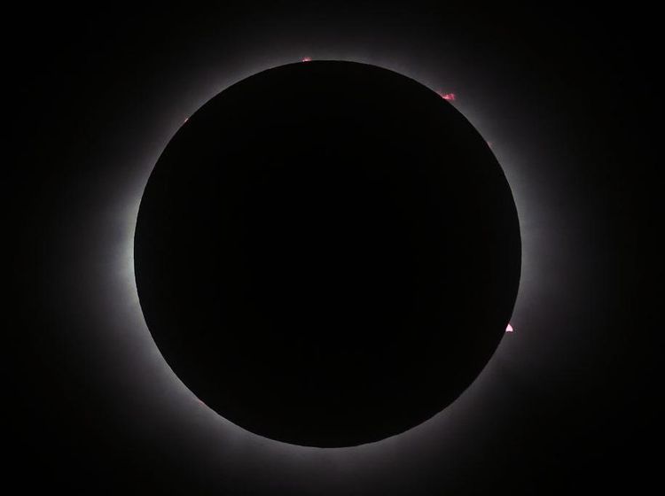 Gerhana Matahari Total 8 April 2024, Ini Potret Fenomena Uniknya!