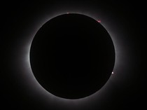 Gerhana Matahari Total 8 April 2024, Ini Potret Fenomena Uniknya!