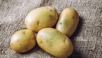 Ketika kentang berubah warna menjadi hijau atau mulai bertunas, mereka menghasilkan solanin, pestisida alami yang dapat membuat kamu sakit parah. Gejalanya meliputi sakit kepala, muntah, dan bahkan kelumpuhan dalam kasus yang jarang terjadi. Foto: Getty Images/iStockphoto/Anthony Boulton