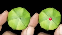 Untuk membuat ketupat bagea, ajnur akan dianyam seperti kuntum bunga. Bentuknya bundar dengan janur yang dibiarkan menjuntai di bagian atasnya. Foto: Istimewa