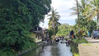 Menariknya, berenang ataupun memancing di sini traveler tidak dipungut biaya masuk. Traveler hanya perlu membayar biaya parkir saja.Lokasinya ada di Jalan Dusun Kalibening, Payaman, Kabupaten Magelang.