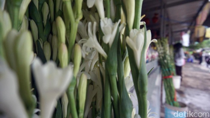 Makam Keputih Mulai Ramai Peziarah Jelang Lebaran Makam Keputih Mulai Ramai Peziarah Jelang Lebaran