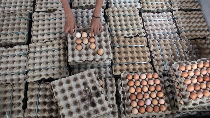 Meningkatnya Permintaan Telur Ayam untuk Lebaran Pekerja menyortir telur ayam di Kawasan Ternak Ayam Pantai Labu, Kabupaten Deli Serdang, Sumatera Utara, Selasa (9/4/2024). Menurut peternak, permintaan telur ayam untuk kebutuhan Lebaran meningkat 100 persen dibandingkan hari biasanya dari 80-100 per papan per hari meningkat menjadi 180-200 per papan. ANTARA FOTO/Yudi Manar/pras.