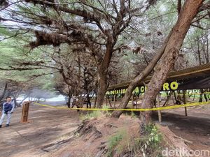 Pengakuan Keji Pembunuh Wanita di Pantai Bantul: Cemburu-Jerat Pakai Rafia