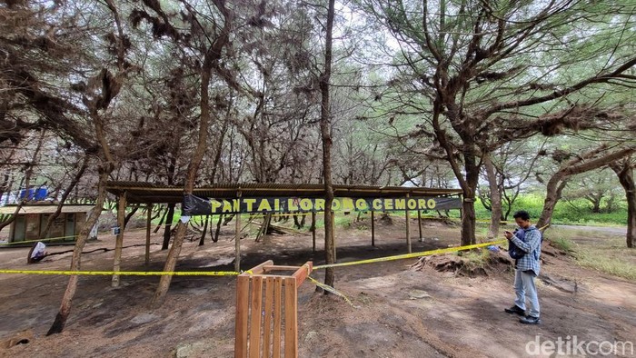 Suasana di lokasi pembuangan mayat wanita yang merupakan korban pembunuhan di Pantai Lorong Cemara, Depok, Parangtritis, Kretek, Bantul, Selasa (9/4/2024).