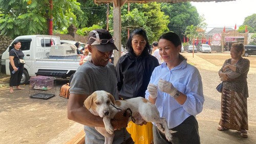 Vaksinasi rabies di Kota Denpasar, Bali beberapa waktu lalu. (Dok. Pemkot Denpasar)