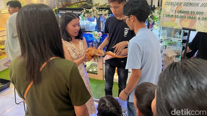 Antusias warga Bengkulu berfoto dengan sejumlah hewan di Animal Station.