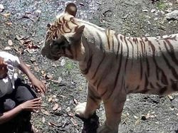 Foto Terakhir Sebelum Tragedi Mengerikan Terjadi