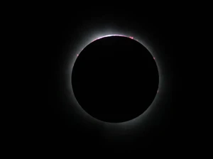 Gerhana Matahari Terpanjang Abad Ini Dipastikan Terjadi, Siang Gelap Gulita