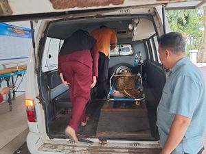 Bapak-Anak Asal Gresik Tergulung Ombak di Pantai Paseban Jember, 1 Tewas