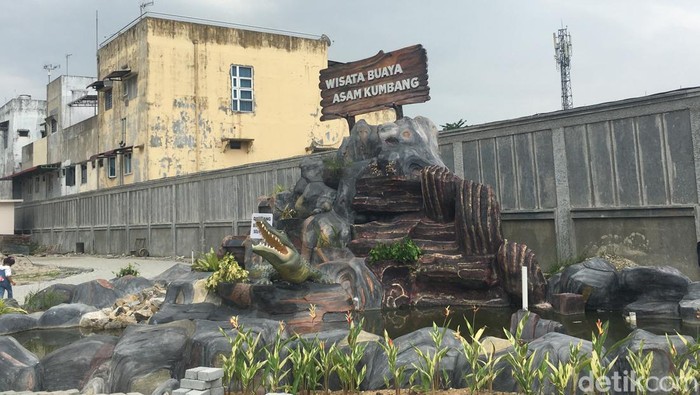 Wisata Buaya Asam Kumbang, Medan. (Elisabeth Christina/detikSumut)