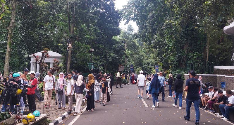 Kebun Raya Bogor (KRB) jadi salah satu lokasi wisata favorit warga untuk mengisi liburan Lebaran 2024. Kebun Raya Bogor diramaikan para pengunjung pada Lebaran hari ketiga, Jumat (12/4/2024).