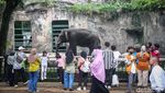 Ragunan Dipadati Ribuan Pengunjung saat Libur Lebaran