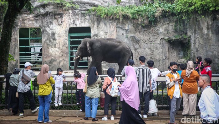Libur lebaran dimanfaatkan warga untuk berwisata. Taman Margasatwa (TM) Ragunan, Jakarta, menjadi destinasi wisata yang diserbu warga.