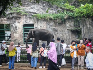 Siasat Ragunan Cegah Kriminalitas: Sebar Petugas Berbaju seperti Pengunjung