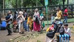 Ragunan Dipadati Ribuan Pengunjung saat Libur Lebaran