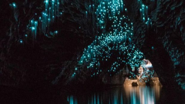 Waitomo Glowworm Caves-New Zealand