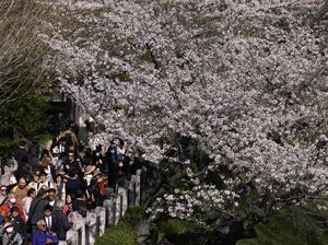 Survei: Jepang Jadi Destinasi Liburan Paling Aman dari Kekerasan buat Wisatawan