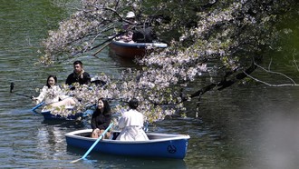 Fix! Jepang Makin Mahal, Pajak Kedatangan Turis Bakal Naik