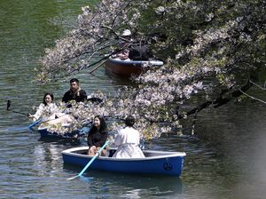 Kontroversi Pejabat Jepang Usul Angkat Rahim Wanita yang Belum Nikah di Umur 30