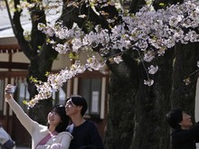 Friendship Marriage Lagi Ngetren di Jepang, Menikah Tanpa Cinta-Seks