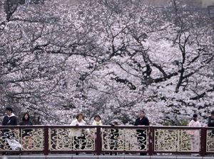 Mengenal Yutori, Konsep Hidup ala Warga Jepang yang Bikin Panjang Umur