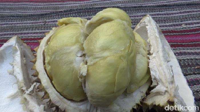 Durian mentega khas lereng Gunung Semeru.