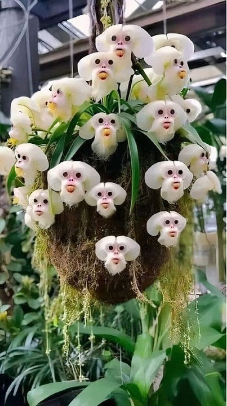 Foto Unik di Dunia