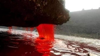 Air terjun di Antartika ini memiliki tinggi 30 meter berwarna merah serupa darah. Oleh sebab inilah peneliti menjulukinya sebagai air terjun darah atau Blood Falls. Foto: Boredpanda