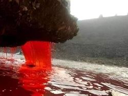 Keunikan di Bumi Bikin Mata Melotot