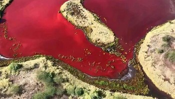 Danau Alkaline Berwarna Merah Darah Di Kapedo, Kabupaten Turkana Foto: Boredpanda