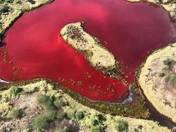 Keunikan di Bumi Bikin Mata Melotot