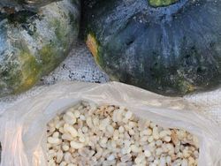 Keunikan di Bumi Bikin Mata Melotot