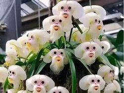 Keunikan di Bumi Bikin Mata Melotot