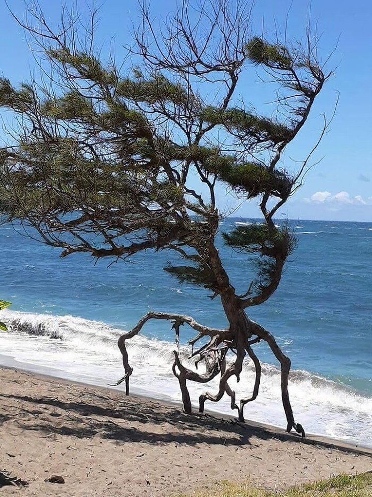 Foto Unik di Dunia