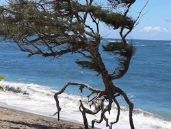 Keunikan di Bumi Bikin Mata Melotot