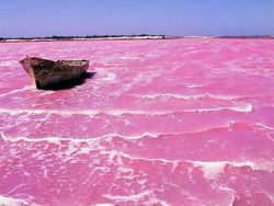 Keunikan di Bumi Bikin Mata Melotot