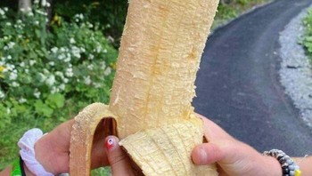 Pisang Hua Moa adalah varietas pisang yang dikenal dengan buahnya yang besar dan bentuknya yang menyerupai sosis gemuk. Pisang yang tumbuh di Hawaii bisa tumbuh hingga panjang 25 cm dan lebar 10 cm. Foto: Boredpanda