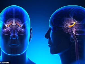 6 Cara Mengasah Otak agar Lebih Cerdas, Kamu Sudah Lakukan yang Mana?