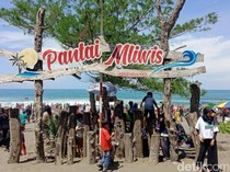 Ramainya Pantai Mliwis Kebumen, Hari Ini Didatangi 10 Ribu Turis