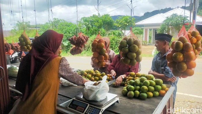 Penjual jeruk gerga di Pagaralam.