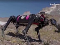 Spirit, Si Robot Anjing untuk Misi Luar Angkasa