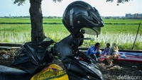 Pemudik motor yang berhenti di jalur ini akan disuguhi hamparan sawah nan hijau.