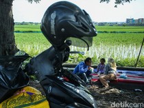 Sejenak Melepas Lelah Ditemani Hamparan Sawah Karawang