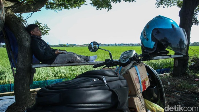 Sejenak Melepas Lelah di Depan Hamparan Sawah Karawang Sejumlah warga beristirahat di jalan Lingkar Tanjungpura, Karawang, Sabtu (13/4/2024).