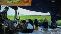 Ada sejumlah warung yang menjajakan makanan ringan dan minuman untuk dinikmati sambil melihat sawah.